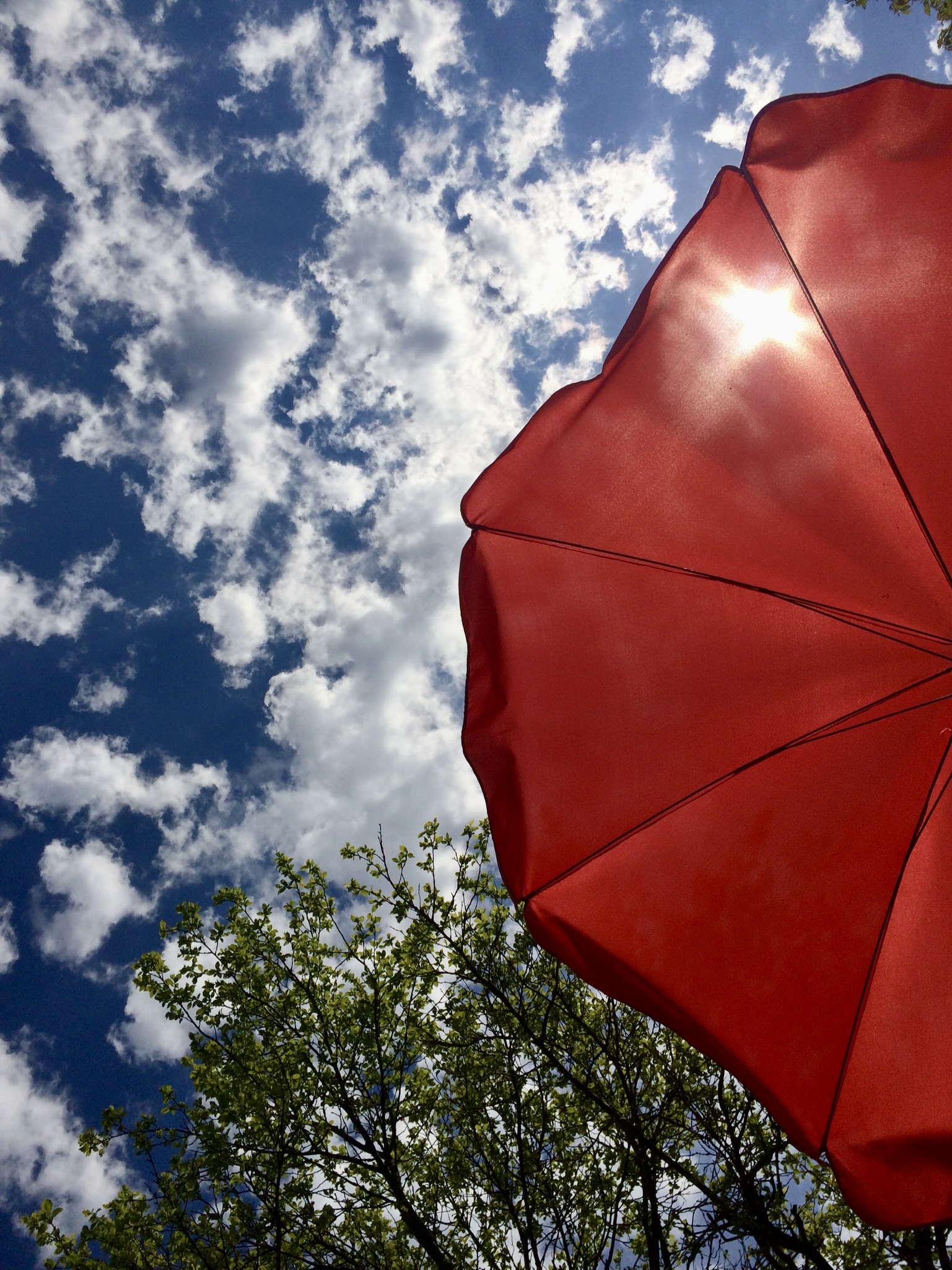 7306764C-62FB-4F6B-93C7-6A3A8C79D60C_1_201_a