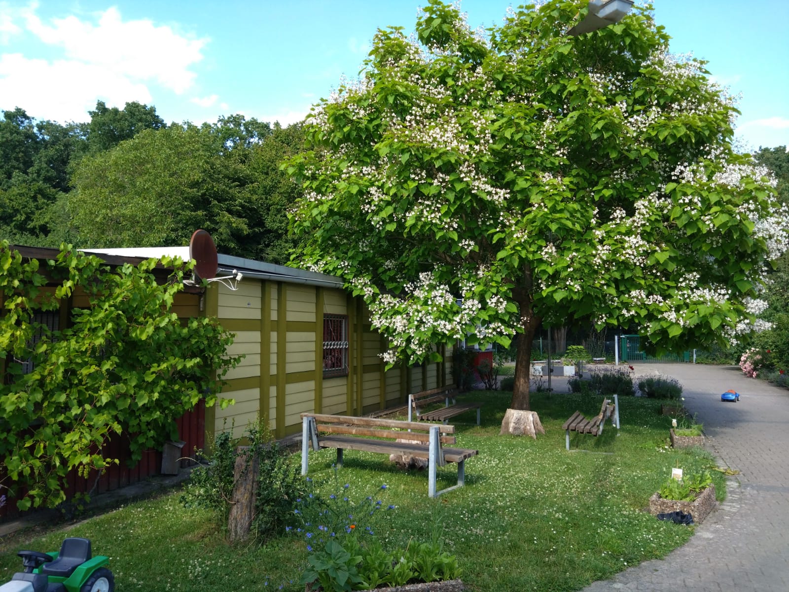 WhatsApp Image 2025-07-12 at 09.42.57 (2)